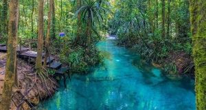 wisata tersembunyi di raja ampat